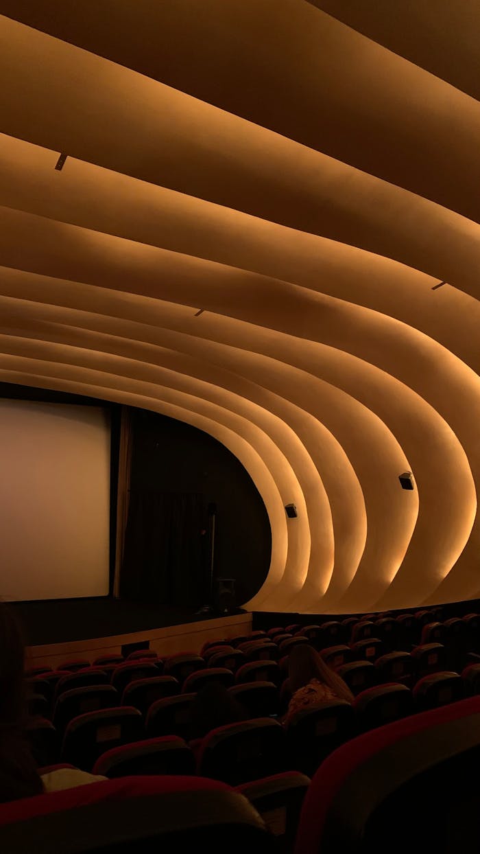 Stylish cinema interior in Istanbul with unique architectural ceiling and cozy seating.